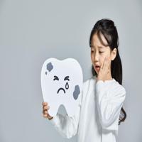 치아보험 비교
