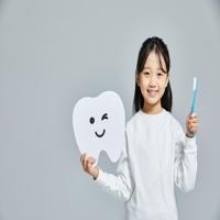 치아보험 비교사이트